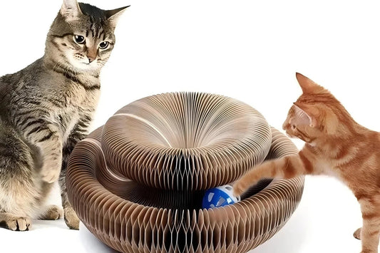 Magic Cat Scratch Organ Board Cat Toy with Ball Cat Grinding Claw Cat Climbing Frame Kitten Round Corrugated Cat Scratching Toy